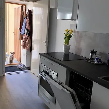 Apartment Fresh Studio In Punavuori